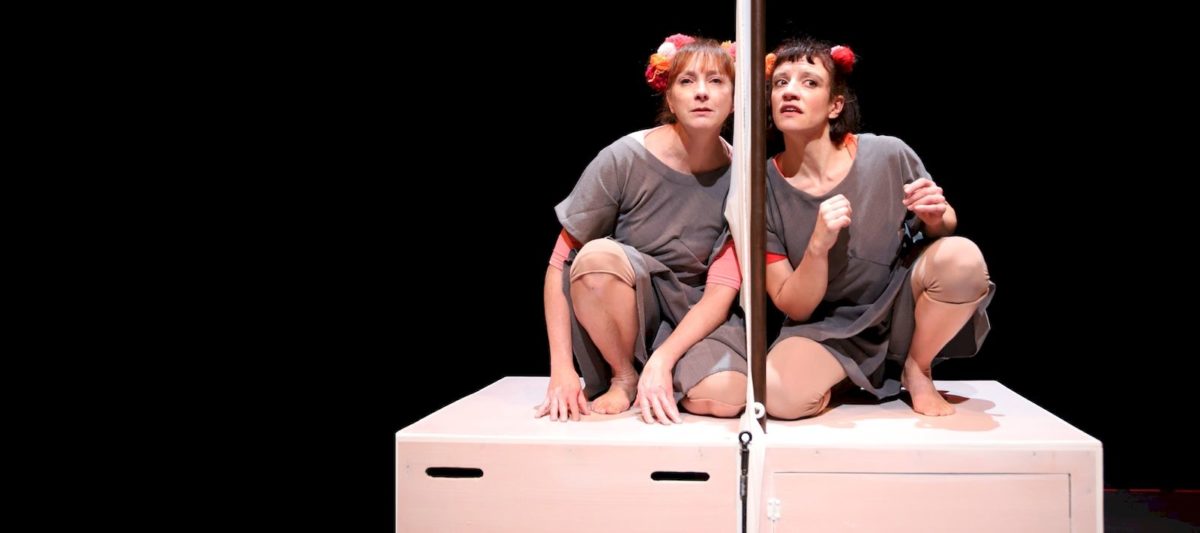 Toi m'aimes la Bicaudale